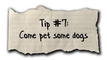 Tip #7: Come pet some dogs.