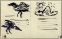 Storyboard sketches for The High-Flying Hat by Nanda and Lynd Ward, showing two crows on the left page, and the titular hat on the right