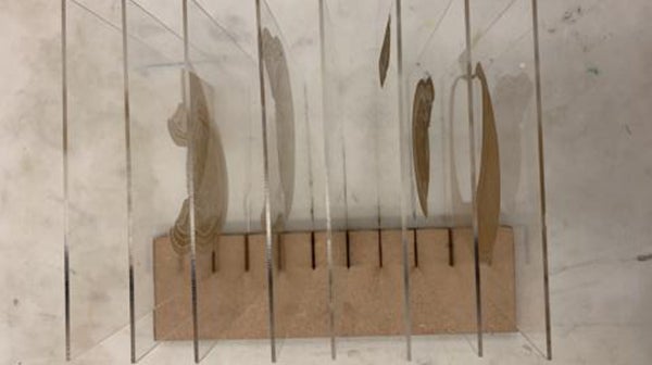 Overhead image of each laser cut slide. 