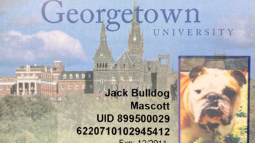 Jack the Bulldog's GoCard
