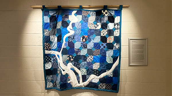 a blue and white quilt hanging on a wall showing the DC waterways