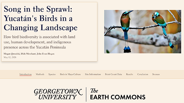 Two colorful birds in blue and brown plumage sit on a branch next to the title Song in the Sprawl: Yucatan's Birds in a Chinging Landscape, both above the Georgetown University Earth Commons logo