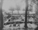 Infirmary Garden, 1890