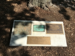 Photograph of a grouping of plaques to Richard Hoffman, D. Harold Cotter and John J. Cotter