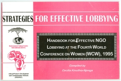 Strategies for Effective Lobbying brochure