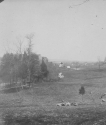 College, river and Virginia shore, sheep