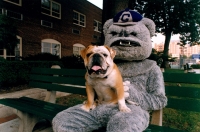 Jack the bulldog sits on the lap of Jack, the human mascot in costume, on a park bench