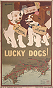 Lucky Dogs!