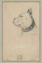 Copeland Sketchbook, showing sketch of Georgetown mascot Stubby