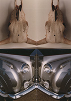 Self-Portrait, photo collage showing a bull's skull above and the front fender of a vintage Rolls Royce below, reflected through the vertical center of the work