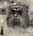 Etching of a monkey's face