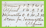An Amateur Baseball Box Score