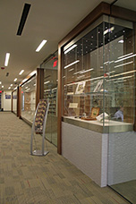The Special Collections Gallery