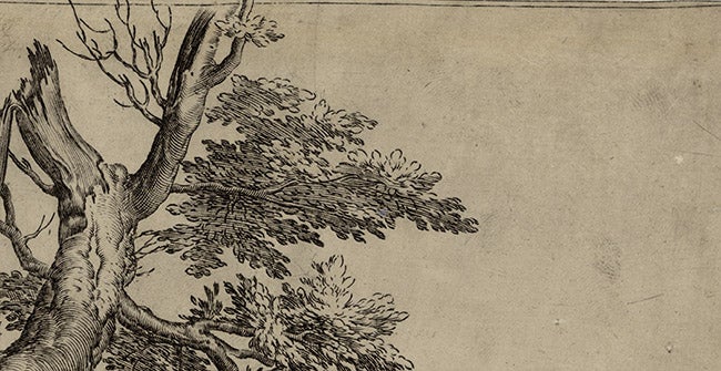 top middle section of a 16th-century engraving showing a detail of a tree