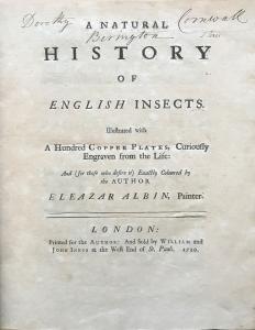 Albin Title Page
