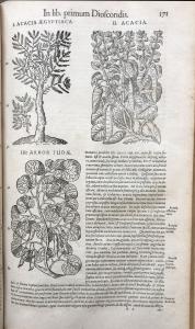 Mattioli Herbal Acacia