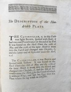 Plate 100 Text