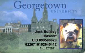 Identification card with photograph of the Georgetown mascot.