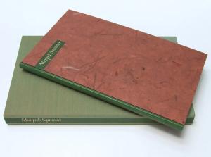 Brown textured book cover to Mimpish Squinnies. It sits on top of its green case.