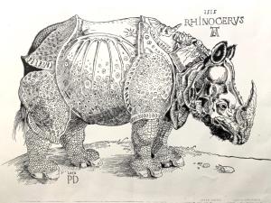 Copyr of Durer's Rhinoceros
