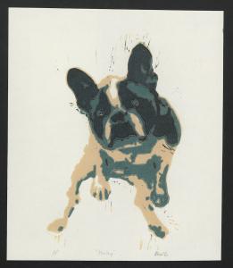A portrait of a sitting French Bulldog in tan, teal, and black. The dog is looking directly at the viewer.