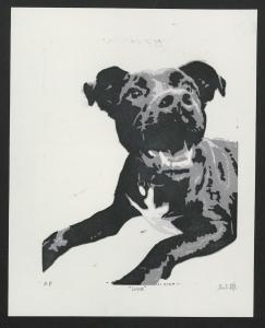 Portrait of a dog in shades of black, grey, and white