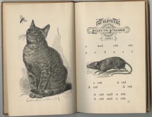 Striped cat seated on left looking at bug flying, rat on right facing left