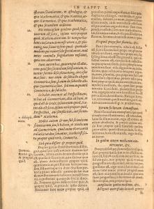 Toledo’s commentary on Posterior Analytics, and chapter X, in Toledo's Commentary on Aristotle, referring to the classification of optics.
