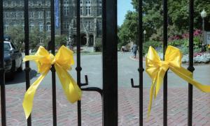 Color photograph showing two yellow ribbons tied in bows in the front gates of the University. The gates are closed and Healy Hall can be seen in the background.