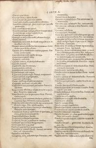 This page contains definitions of words that contain “cauallo” (horse) in Nahuatl.