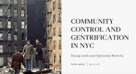 images of front page of website "Community Control and Gentrification in NYC" including image of three young people in an urban environment 