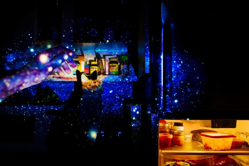 An artistic image of a cat in a kitchen with the stars of the universe projected in the scene