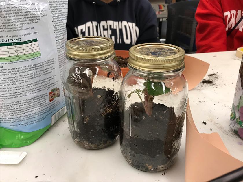 Two completed terrarium jars with a bag of potting soil on a table in the Maker Hub