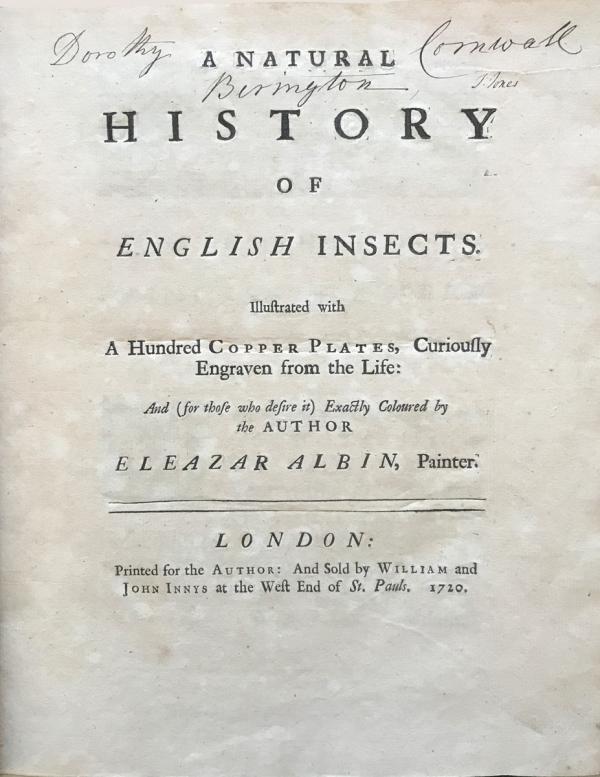 Albin Title Page