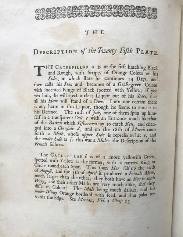 Plate 25 text