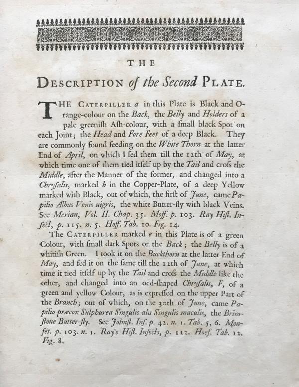 Second Plate Text