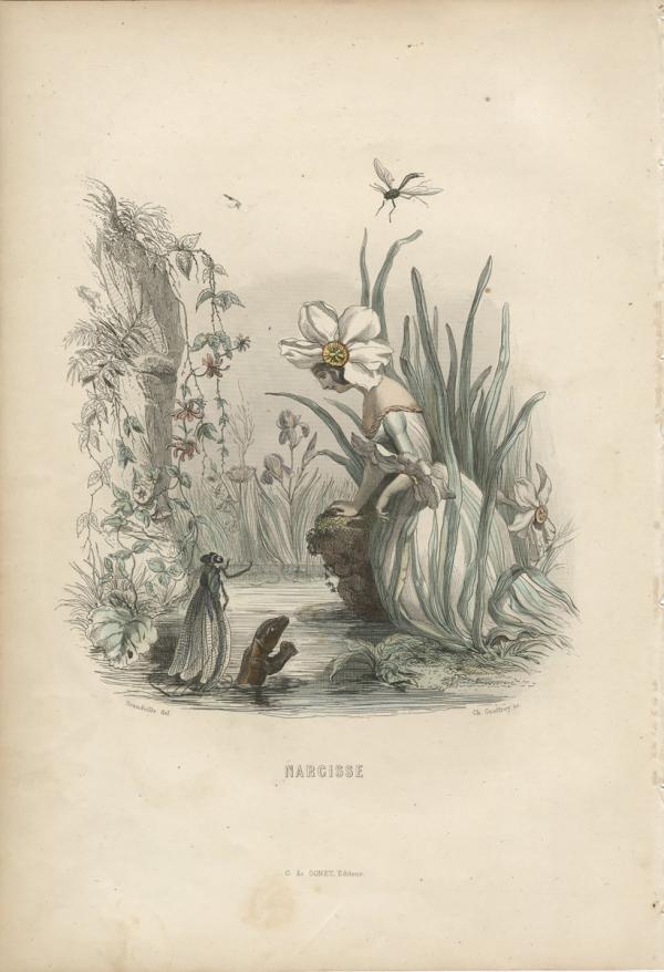 Woman dressed like a flower is among the grass. She is looking into the pond and the animals there.