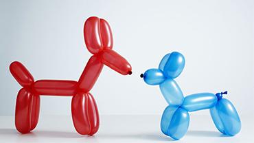 a red and a blue balloon animal dog