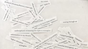 slips of white paper with typed text