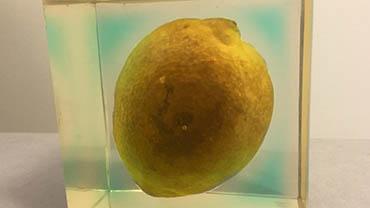 A lemon encased in an acrylic cube