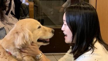 Golden retriever and young Asian woman looking into each other's eyes