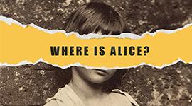 Annotated Darkroom: Where is Alice?
