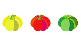 Vegetable/Fruit Designs