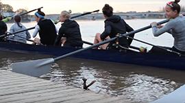 Georgetown women's rowing team