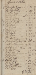 Handwritten list of expenses-1824