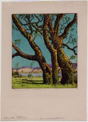 Landscape view along the Potomac River with trees in foreground. Hand coored etching by Benson Bond Moore.