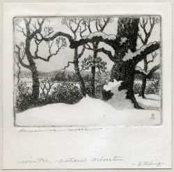 View of trees after a snowfall at the National Arboretum. Etching by Benson Bond Moore.