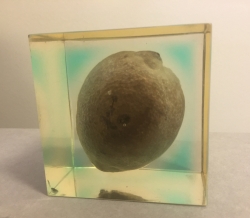 Lemon encased in acrylic